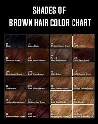 This is a dark yet rich shade of cinnamon with warm mahogany brown undertones that suit all shades of dark skin and eyes. Shades Of Brown Hair Color