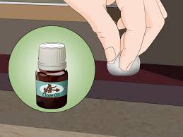 This is enough to kill as many as possible including the queen. How To Kill Ants Outside 11 Steps With Pictures Wikihow