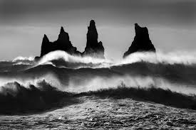 Beaches, mountains, flowers, oceans, trees, seasons & more Monovisions Black And White Photography Awards 2019 Winners Announced Monovisions Black White Photography Magazine