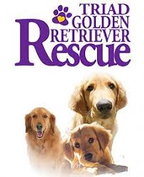 Jun 23, 2012 · greensboro, nc (gbo) greenville / upstate (gsp) harrisburg, pa (hrs) harrisonburg, va (shd). Local Pet Dog And Cat Adoptions Near Greensboro All Pets Considered