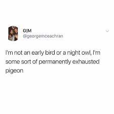 Unfortunately This Is Very Relatable Funny Memes Relatablememes Funny Quotes Funny Relatable Memes Relatable Quotes