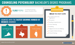 Check spelling or type a new query. Can I Be A Counselor With A Bachelor S Degree College Learners