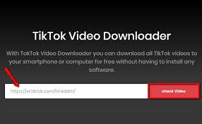 How To Download Tiktok Video