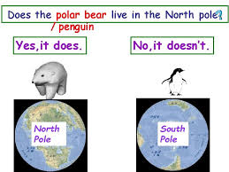 Their most noticeable way of living in these challenging conditions is the two. Module 9 A Trip To The Zoo Unit