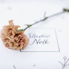Carnation Flower Studio Nelk Nelk Flower Shop Lillepood Carnation Flower Place Card Holders Flower Shop
