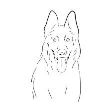 German shepherds are relatively new breed of dog or guard dog, with their origin dating to 1899. Draw German Shepherd Face Step By Step Dog Sketch German Shepherd Painting German Shepherd Art