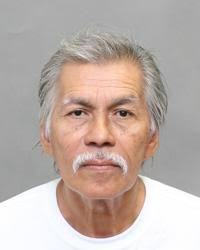 Toronto police identify victim in fatal Victoria Park-Finch collision in  hope more info will turn up