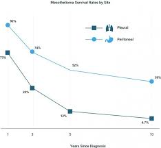 We did not find results for: Mesothelioma Facts Statistics For 2021