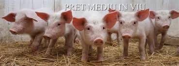 Check spelling or type a new query. Pret Mediu In Viu Ministerul Agriculturii Si Dezvoltarii Rurale