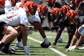 Bengals Depth Chart Projecting How Theyll Line Up When