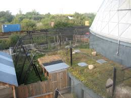Randers is a city in randers municipality, central denmark region on the jutland peninsula. Randers Regnskov New Jaguar Exhibit Zoochat