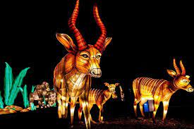 510 Families On Twitter Glowfari At Oakland Zoo Ticket Alert This Year S Evening Holiday Lights Event At The Oakland Zoo Is Called Glowfari And Tickets Are On Sale At 9 Am This