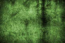 Grungy Green Wall Texture Background Paper Artistic Christmas Antique White Modern Aged Grunge Retro Background Textured Background Vintage Cameras Art