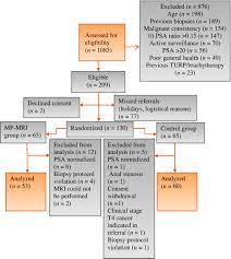 The pancreas is a bodily organ that few people think about. Prebiopsy Multiparametric Magnetic Resonance Imaging For Prostate Cancer Diagnosis In Biopsy Naive Men With Suspected Prostate Cancer Based On Elevated Prostate Specific Antigen Values Results From A Randomized Prospective Blinded Controlled Trial