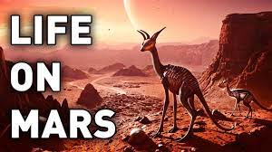 NASA Found Living Microorganisms on Mars? - YouTube