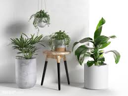 We did not find results for: Stool And Pots With Plants 3d Model Max Obj C4d 3dzip Org 3d Model Free Download
