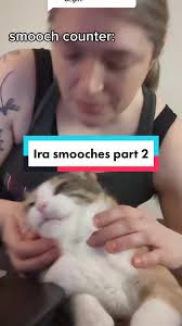 Replying to @moirabean_cat Part 2! 145 smooches owed to Ira, 9 paid off in  part 1. #cutecat #catlove #cattok #catsoftiktok #catproblems #fyp #toothless