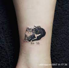 Xem thêm ý tưởng về hình xăm mèo, hình xăm, xăm. Giáº£i Ma Y NghÄ©a Ä'ang Yeu Vá» Hinh XÄƒm Con Meo Tattoo Ga