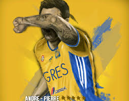New and best 97,000 of desktop wallpapers, hd backgrounds for pc & mac, laptop, tablet, mobile phone. Andre Pierre Gignac Projects Photos Videos Logos Illustrations And Branding On Behance