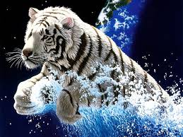 Wallpapers Tiger Wallpaper Tiger Pictures Animal Wallpaper
