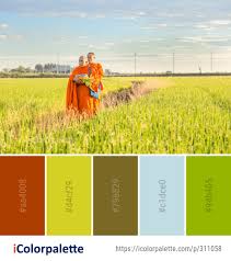 Color Palette Ideas From Grassland Field Agriculture Image Color Palette Color Inspiration Colour Pallete