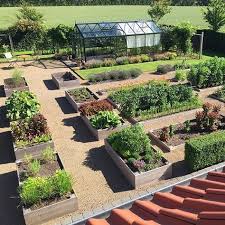 Der Garten Mitte Juli Hafen Mitte Juli Foodandgarden Madoghave Organicgarden Jardin Potager Amenagement De Jardin Potager Jardins