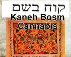 Znalezione obrazy dla zapytania kaneh-bosm
