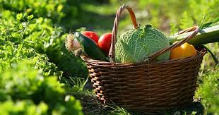 Voici La Liste Des Meilleurs Aliments Pour La Sante De Leurs Apports En Nutriments Et De Leurs Vertus Medicina Gesunde Lebensmittel Lebensmittel Gesund Leben