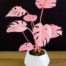 Creamy white or pink ivory? Pink Monstera Plant Paper Flowers Craft Paper Flower Tutorial Flower Crafts