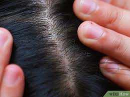 No two heads of hair are alike. 7 Ways To Determine Hair Type Wikihow