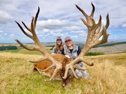 Scott thomson's red stag hunting new zealand provides you with an opportunity to hunt on over 8 private properties across both the north and the south islands, giving you one of the most vast and extensive new zealand hunting safari experiences possible. Red Stag New Zealand Safaris