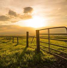Sell Your Land - Primos Land & Homes