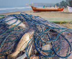 We did not find results for: 7 Cara Melestarikan Laut Kita Shareamerica