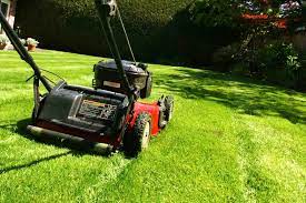 On average, lawn mowing and other maintenance services included costs of $200 to $320 a month. Professional Landscaping Services Landscaping Blog