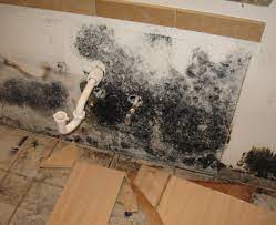 The good news is that that moisture dampens downward, preventing it from contaminating the air. 100 Pictures Of Mold In The Home