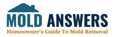 A basic mold air test may be included in the inspection, but if that test indicates the potential presence of more dangerous types of mold, or if the inspector finds evidence that. Apartment Mold Landlord And Tenant Responsibility