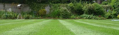 We did not find results for: How To Revive A Worn Out Lawn Premier Lawns