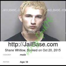 I posted Love After Lockup's Shane Ray Whitlow's mugshot back in November  2019 (shown again in the last image) but I never posted the court records  about the case. Shane's offense date