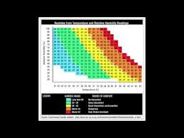 Quirky Connection Humidity And How It Affects Us Youtube