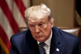 More than 750 historians urge House to impeach Trump: "Contempt for  representative government"