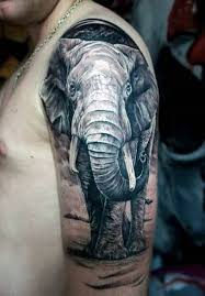 'elephant and lion with motivational quote' tattoo meaning: Lion Tattoo On Hand Man Novocom Top