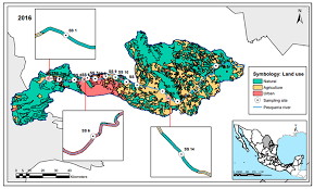 Water Free Full Text The Influence Of Riparian Corridor Land Use On The Pesqueria River S Macroinvertebrate Community N E Mexico Html