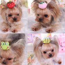 Yorkshire Terrier And Poodle 3d Hair Accessories Cute 3 Pieces Lot Yorkshire Terrier Yorkshire Terrier Dog Yorkshire Terrier Puppies