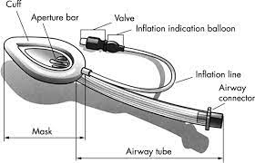 At lma enterprise, we are a leading online marketing agency that offers a comprehensive range of services to help your business grow. The Laryngeal Mask Airway Potential Applications In Neonates Adc Fetal Neonatal Edition