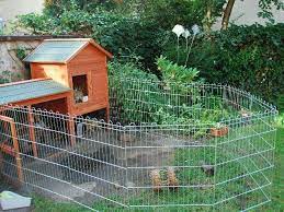Epingle Sur Animal