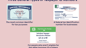 An individual taxpayer identification number (itin) is a tax processing number issued by the internal revenue service. Differences Among A Tax Id Employer Id And Itin