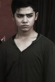 Hasil gambar untuk wallpaper aliando
