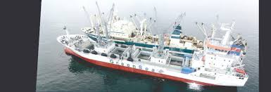 Image result for Orange 1986 Fleet