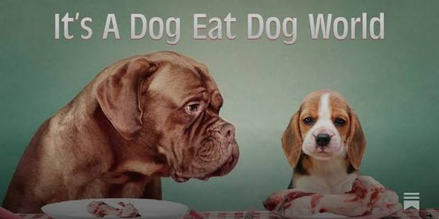 Saved from a Dog-Eat-Dog World - by John Carpenter