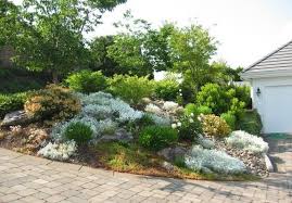 Rocaille Jardin Conseils De Construction Et Photos Inspirantes Jardin De Rocaille Jardins Et Amenagement Jardin En Pente